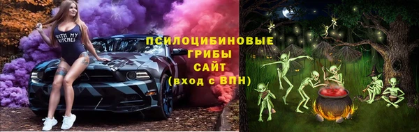 трава Белокуриха