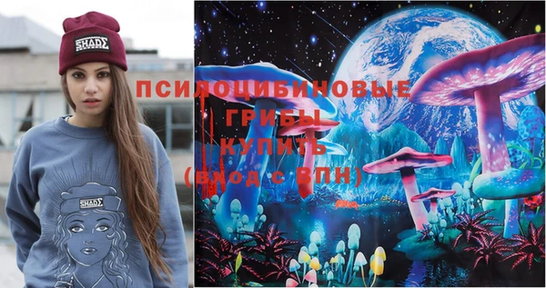 трава Белокуриха