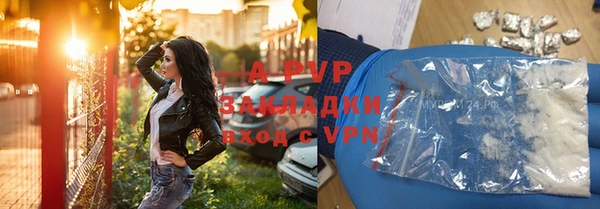 трава Белокуриха