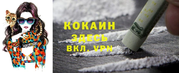 трава Белокуриха