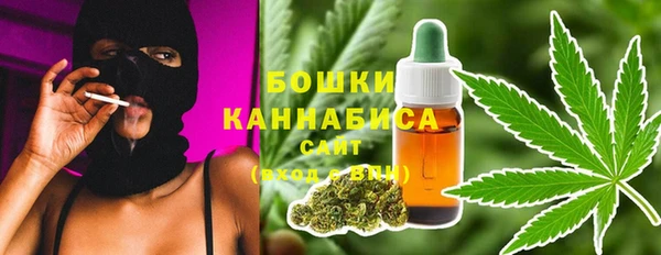 трава Белокуриха