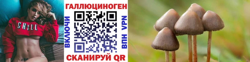 Галлюциногенные грибы Psilocybine cubensis  Лыткарино 