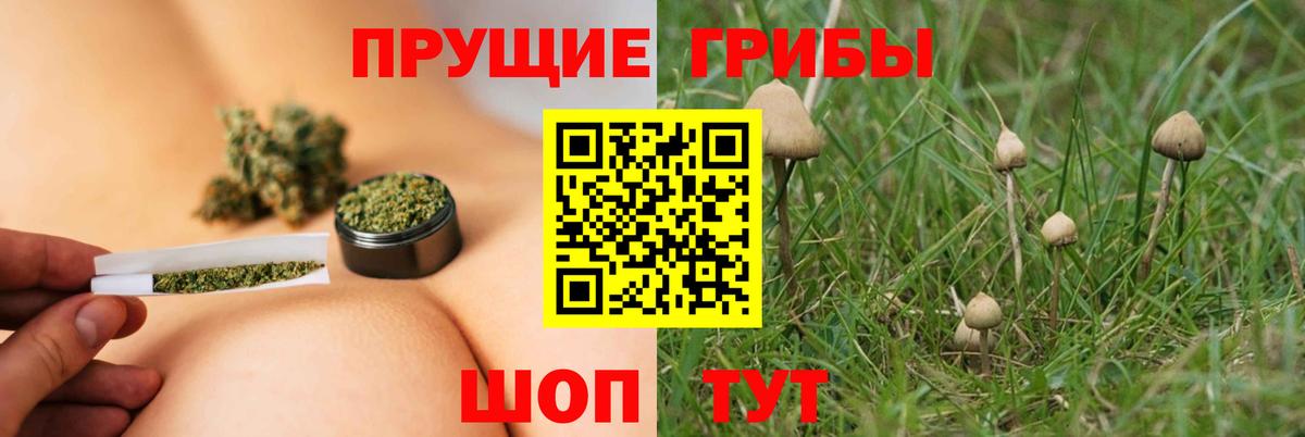 Псилоцибиновые грибы Psilocybe  Вход с VPN  Лыткарино 